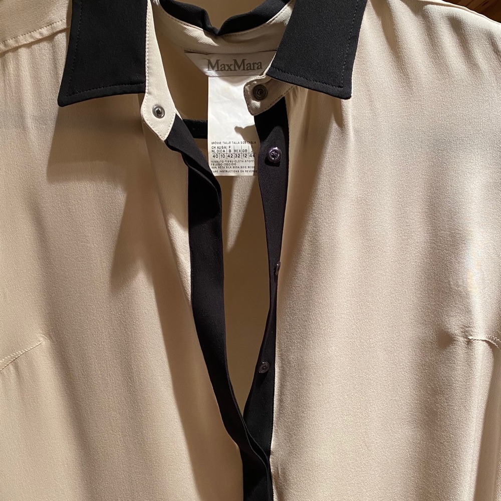 Max Mara Shirt Dress.